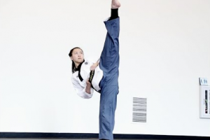 Materi Ujian Kenaikan Tingkat Taekwondo